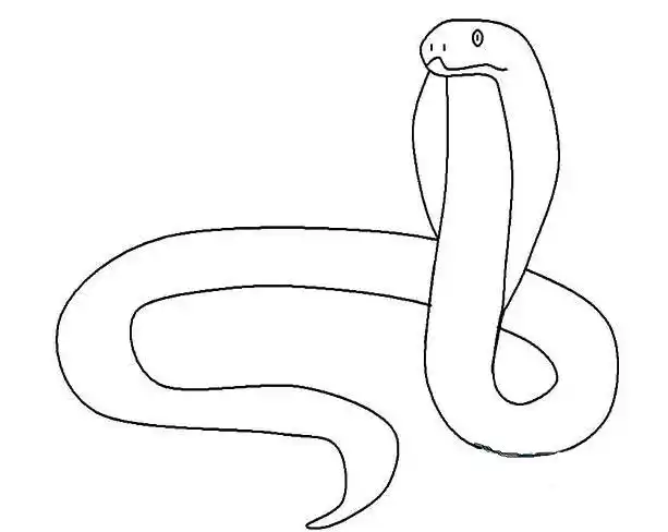 蟒蛇蟒蛇简笔画