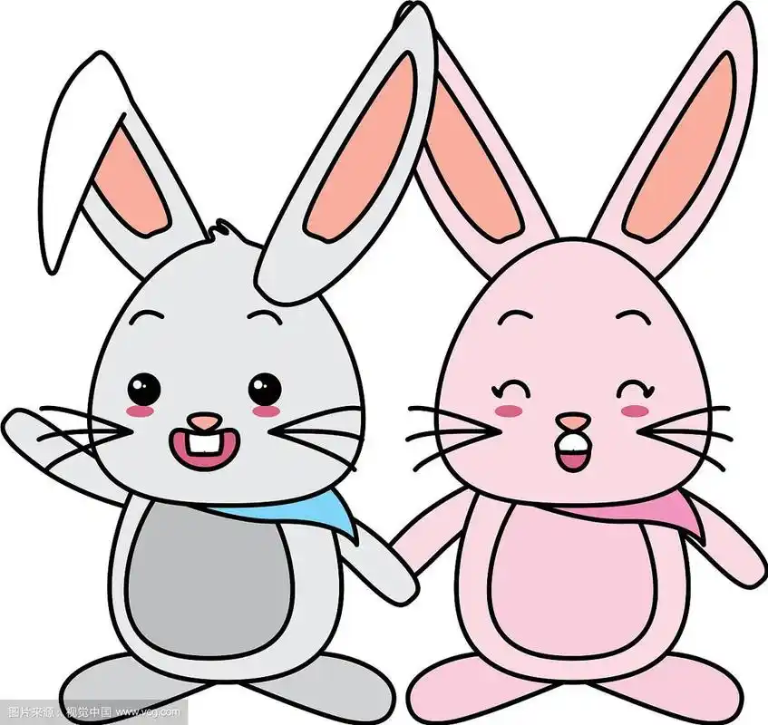 可爱的两只兔子
