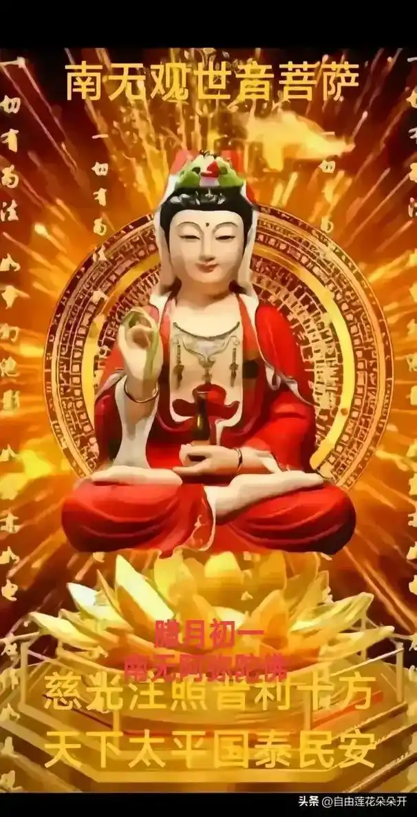阿你陀私 南无阿弥陀饼 殿寶雄大 随 鲁网 hd4g5g  - 抖音