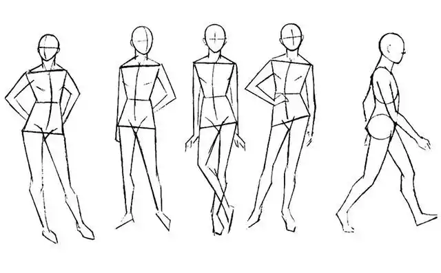 半身和全身人物的画法步骤_美术加网校