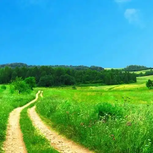 我妈让我换头像还必须要有蓝天有草地