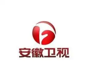 安徽卫视