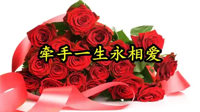 情歌mv:《牵手一生永相爱》对你的爱依旧还在,对你的情没更改