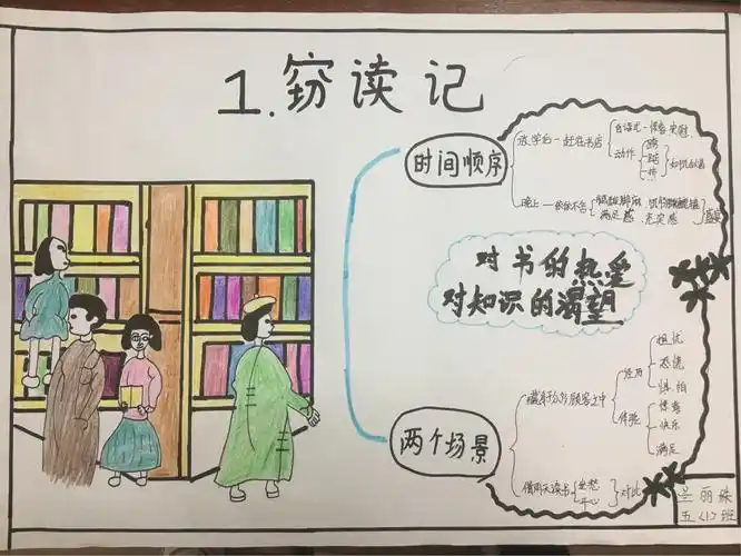 五六年级思维导图比赛