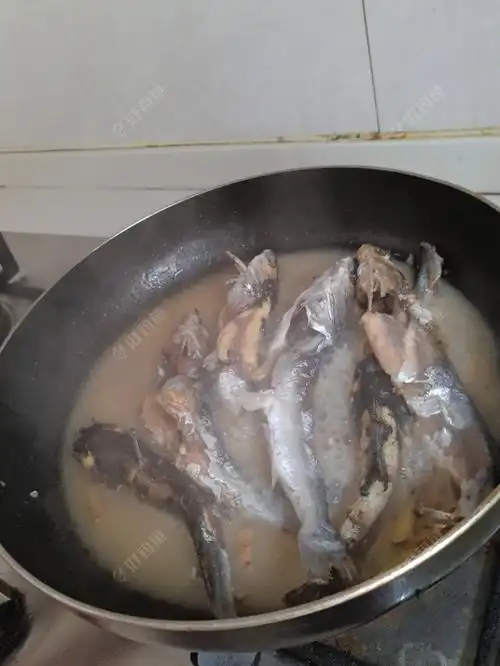 鱼没几条青口但是不少