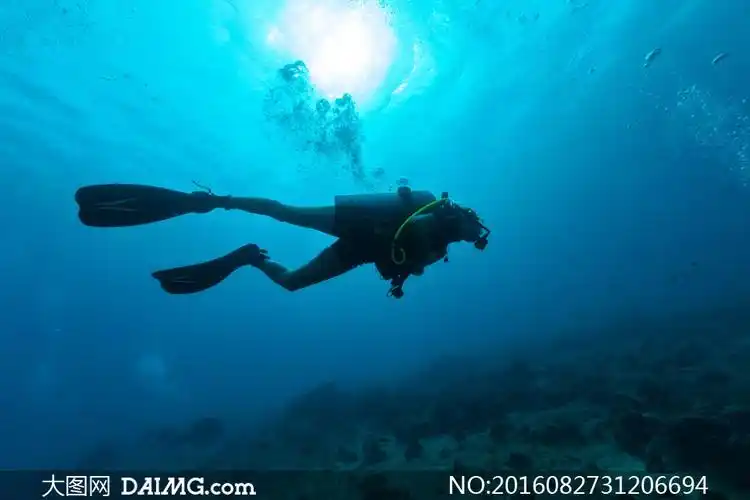在海水里潜水的潜水员摄影高清图片