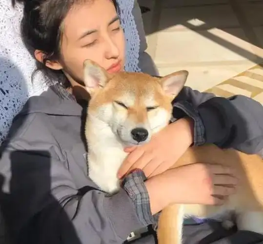 张子枫拍照不喜欢用美颜在太阳下抱着狗子午睡皮肤状态真实