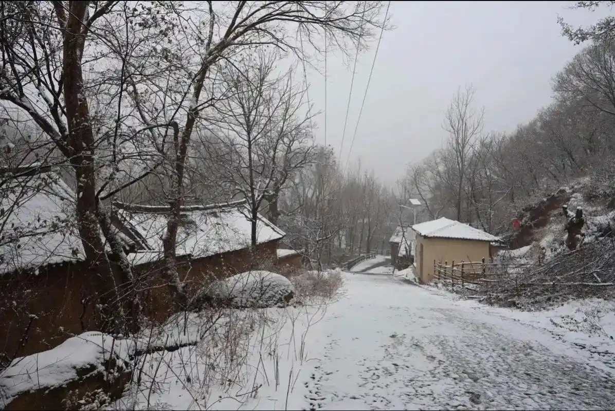 看见照片让我想到了小时候在农村老家下雪时的景象