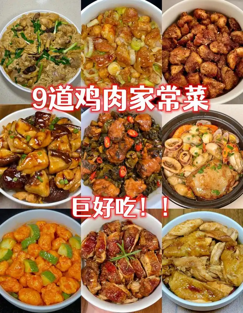 9道鸡肉家常菜做法,巨好吃!菜谱:#酱香鸡腿肉 #豉油 - 抖音