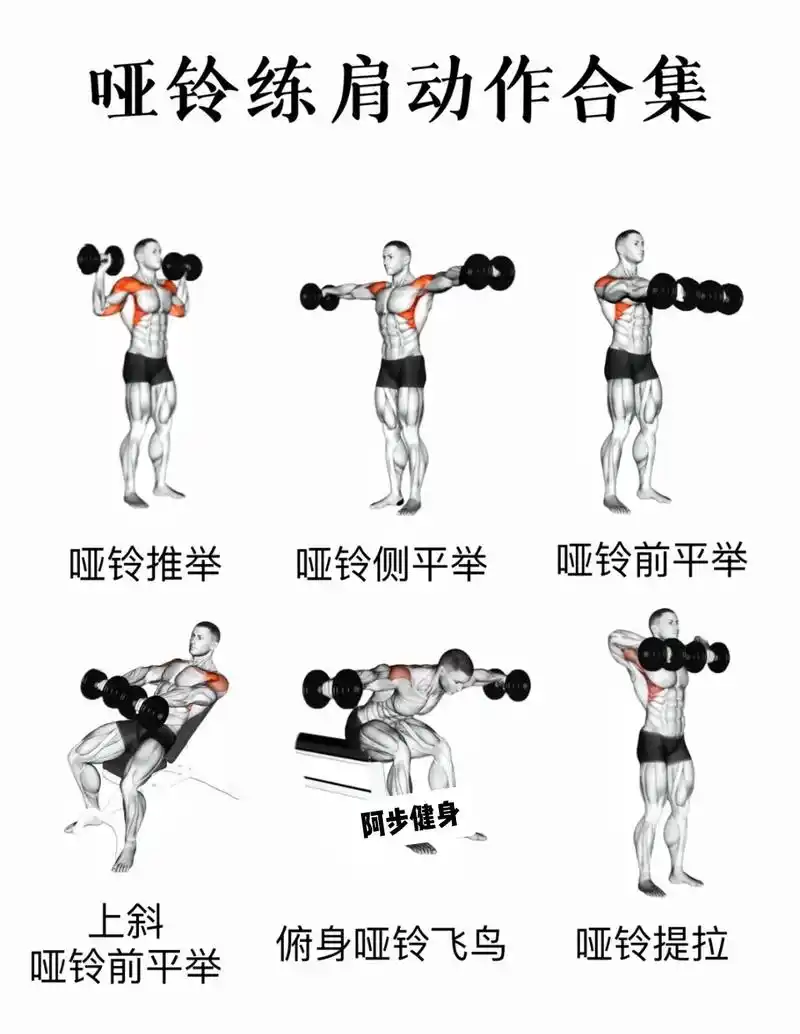 健身动作干货分享#健身 - 抖音