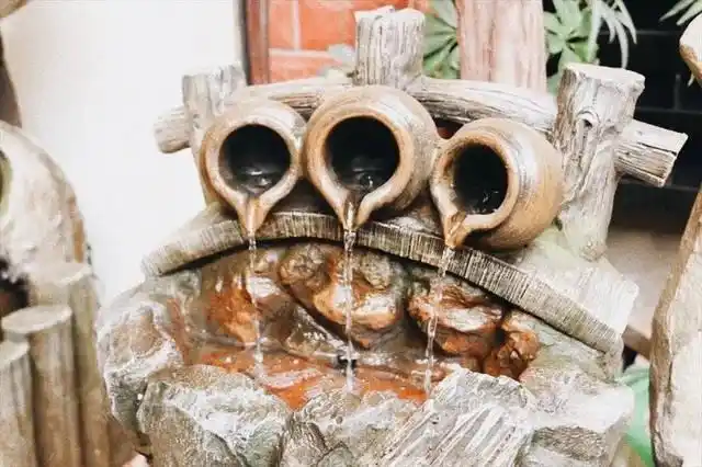 在花鸟市场还能领略到古诗里 "泉眼无声惜细流,树阴照水爱晴柔"的诗情