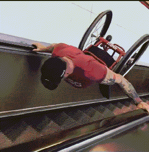 原创搞笑gif动图城里的孩子都不知道这是什么吃过请举个爪子