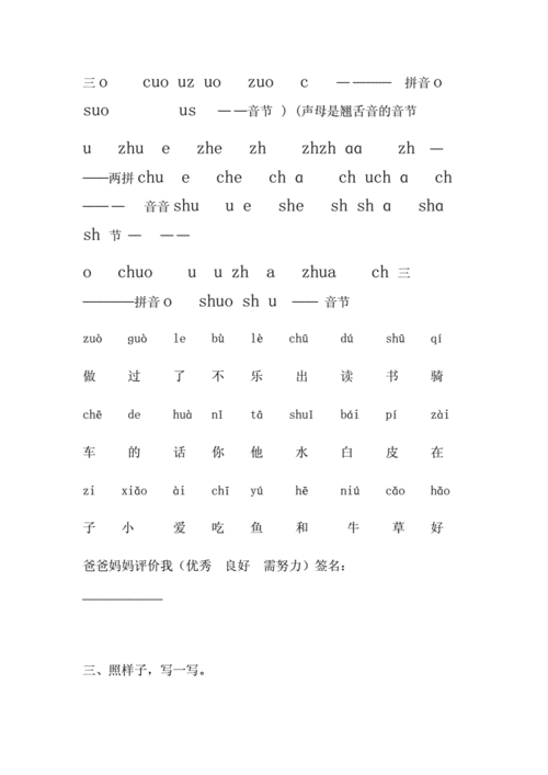 直映拼音实录文稿教案教学重点拼音作业doc10页