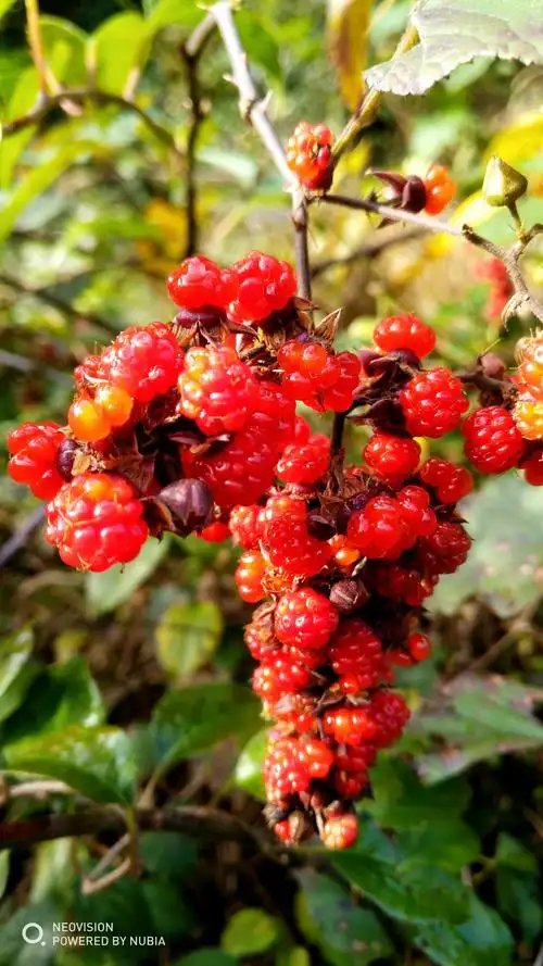 美丽宁国之方塘乡