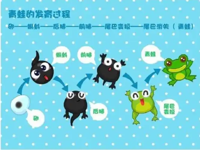 "入园延期,成长不延期"小一班寒假生活指导(十五)小蝌蚪找妈妈