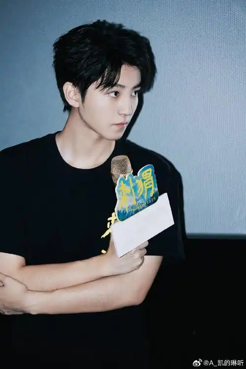 王俊凯电影刺猬##王俊凯的琳听##王俊凯