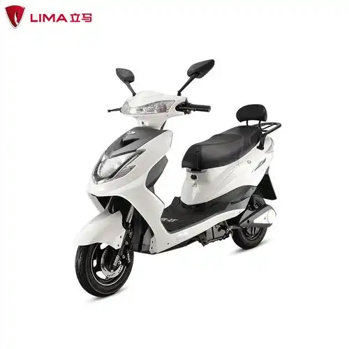 立马电动车立马全新神驹马新款两轮轻便车男通用代步成人电瓶车
