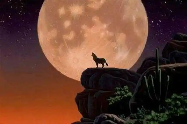 中秋·圆月·孤狼