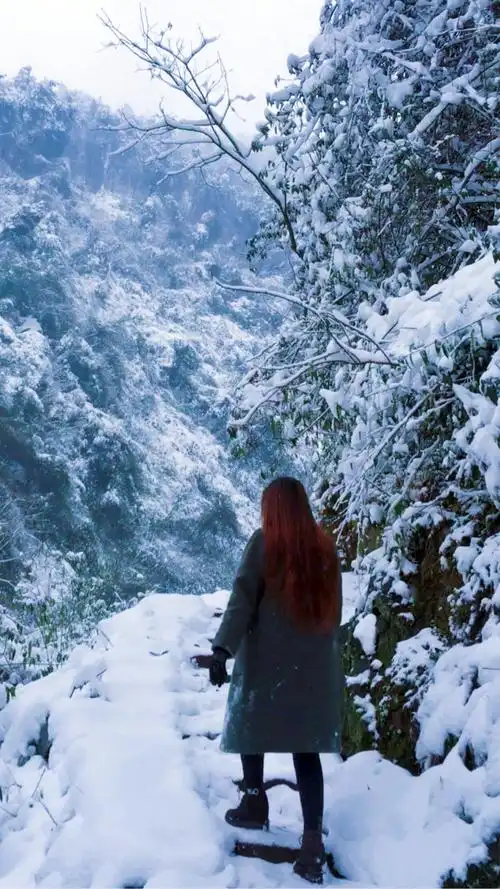 嗨· 背影杀手 · 优雅转身 · 2018 · 新起点