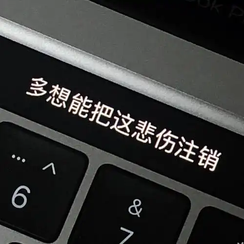 当我放下过往注销再被遗忘95太一《账号已注销》在专属五月的情人节