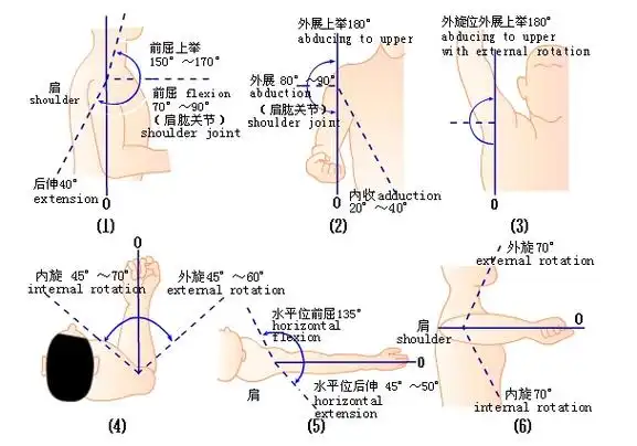 关节活动度记录方法-中立位零度法 - 宇宇的日志 - 网易博客