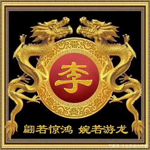 【编号1497】龙霸天下,30个姓氏-微信头像,百家姓氏微信头像,名字壁纸