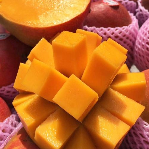 芒果海南红玉礼盒8斤当季新鲜水果孕妇小孩芒果