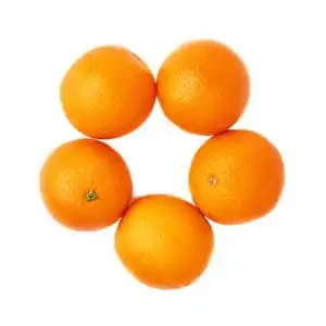 圆框的水果图片