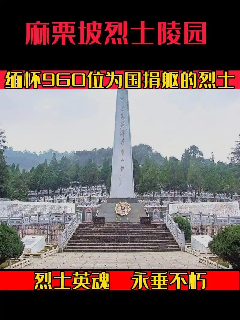 麻栗坡烈士陵园内安葬着来自全国19个省市,19个民族960名 - 抖音