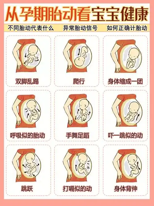 不同胎动代表什么含义孕期胎动知识
