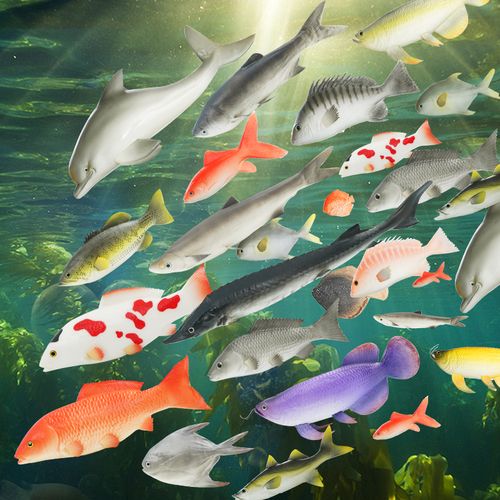 仿真鱼模型红灰鲤鱼鲫鱼金枪鱼秋刀鱼多宝鱼模型海洋动物认知教具