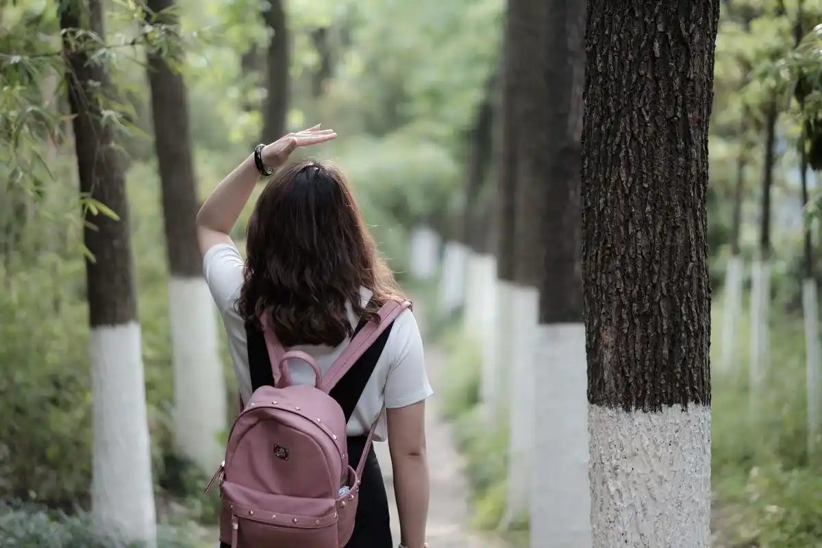 湖北全日制专升本这个专业多了两个院校可以选择啦