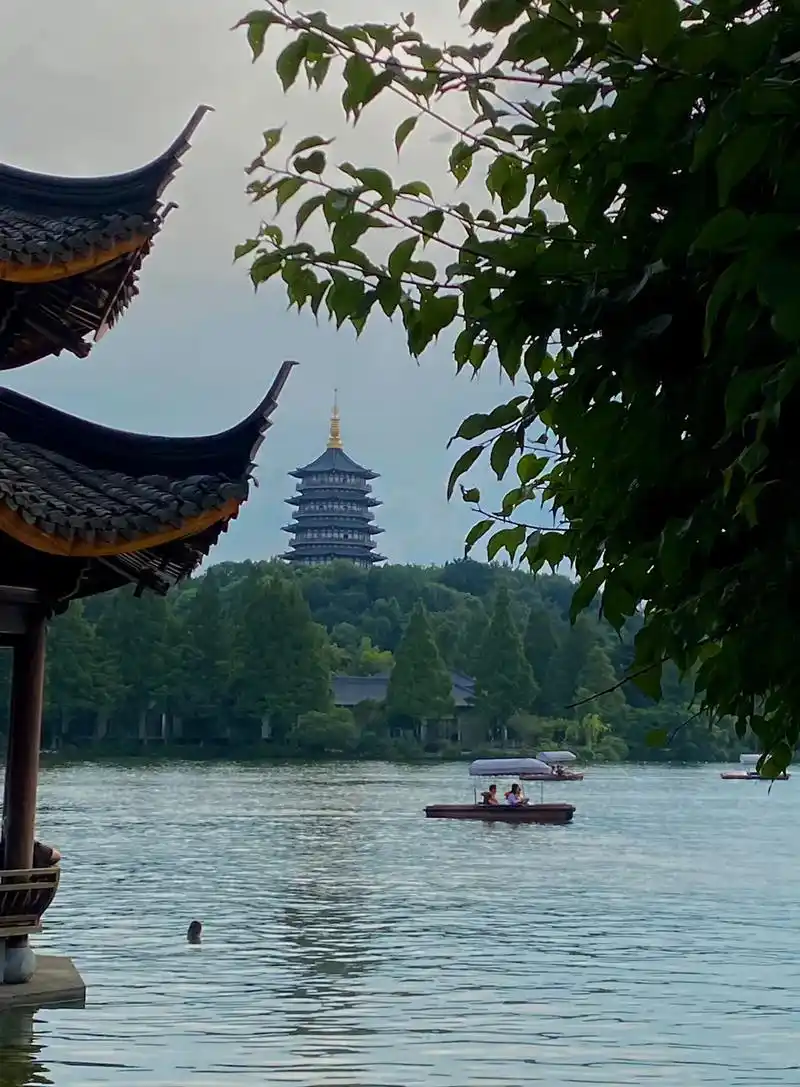 跟个风#荷塘美景 #江南烟雨 #摄影 #江南水乡美如画 #风 - 抖音