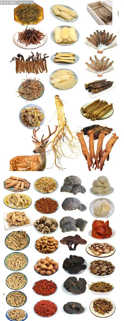 中药材图片大全