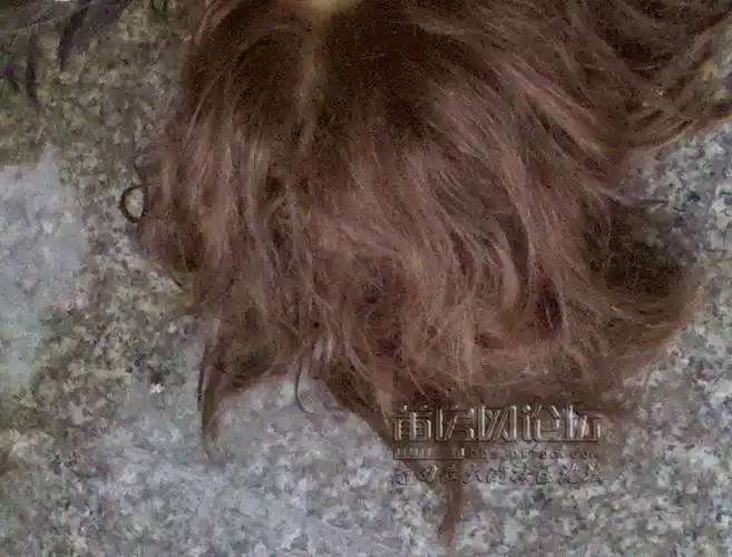 梅园西路有几个人头断在地上