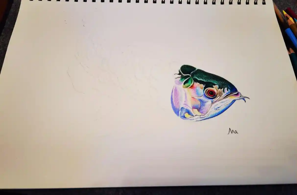 彩铅鱼的怎么画?#抖音图文来了 #画画 #手绘 #艺术 #绘 - 抖音