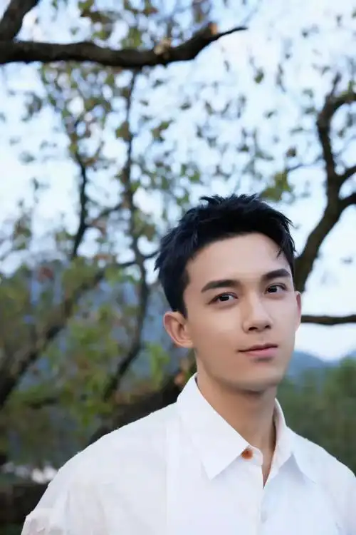 被鼻子拖累颜值的男星,彭于晏鼻头凸,苏有朋鼻翼宽又扁