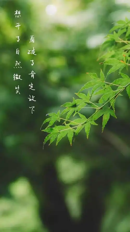 想开了自然微笑 看破了肯定放下 文艺摄影图手机壁纸