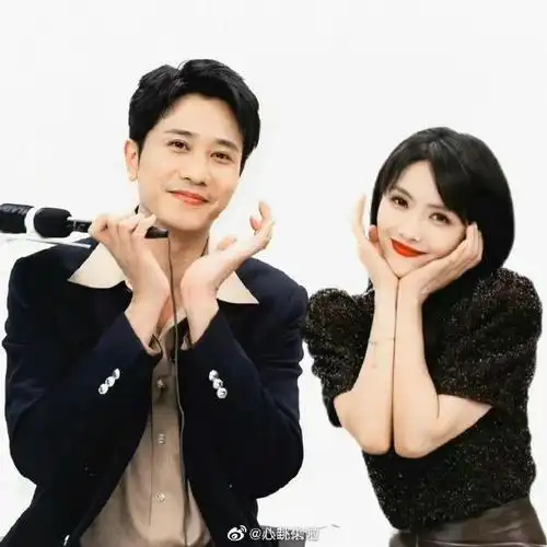 蔡文静彭冠英无效合体