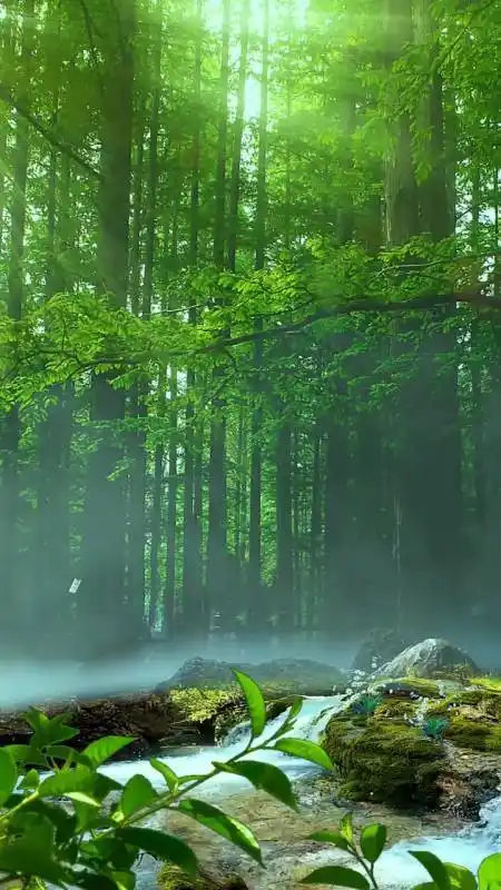 希望能够给你带来片刻的舒适风景