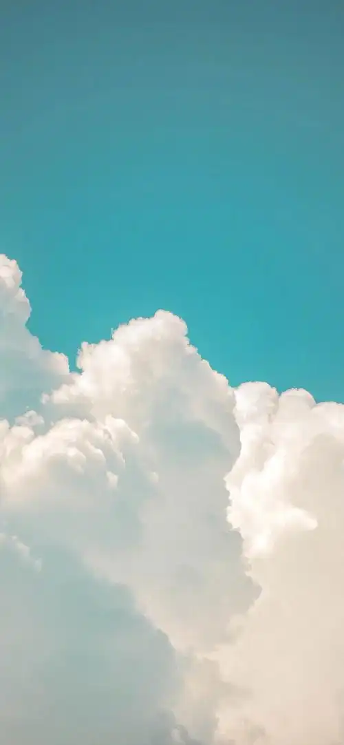 潮流壁纸精选20210325