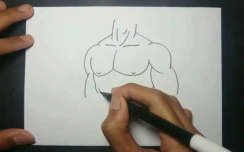 【简笔画】如何一步一步轻松绘制腹肌