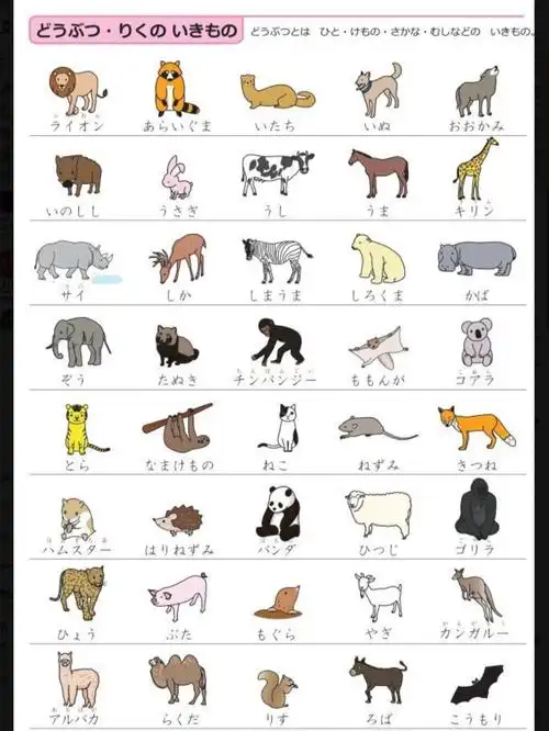 看图学日语【动物名称大全——陆生动物名称】_日语学习_教育_外语