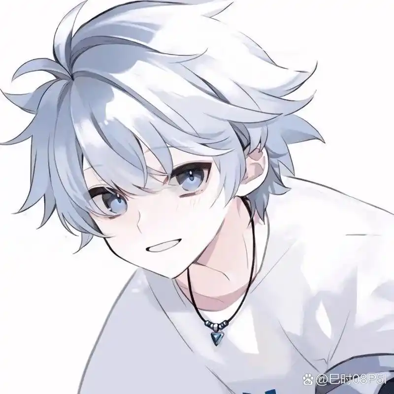 分享白发少年的头像