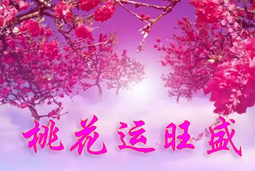 女人走桃花运什么意思女人走桃花运好不好