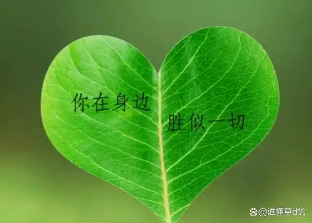 喜欢到一定程度,就会转变成爱;爱你满心欢喜,想你孜孜不倦