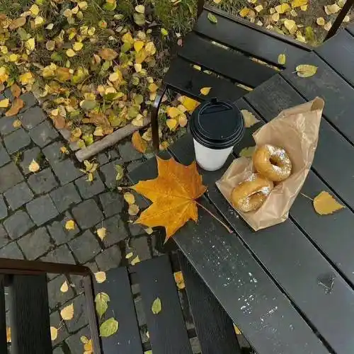 ins背景图 | 散落的浪漫序章_cr_网络_壁纸