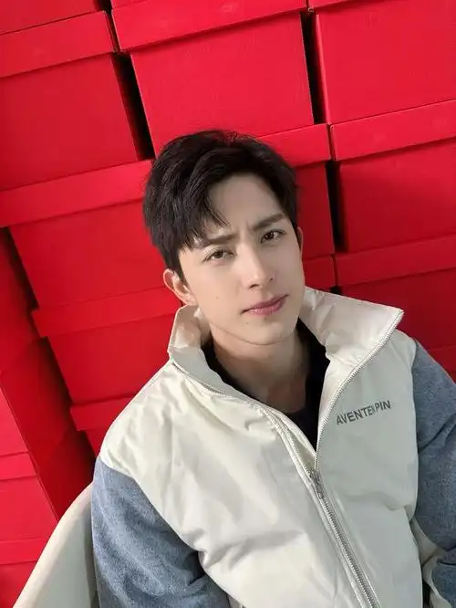 明星系列壁纸～敖瑞鹏