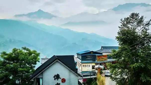 冰岛老寨是云南勐库地区海拔最高的傣族寨,已有500多年的种茶历史.