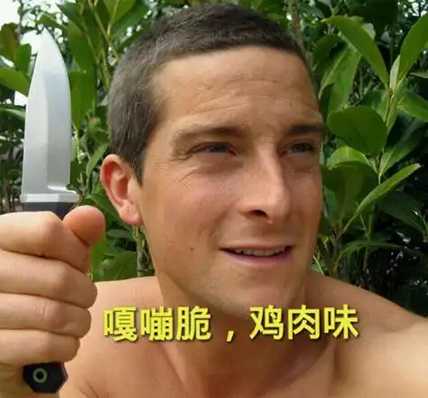 嘎嘣脆鸡肉味是什么梗食物链顶端的男人贝爷的金句了解一下
